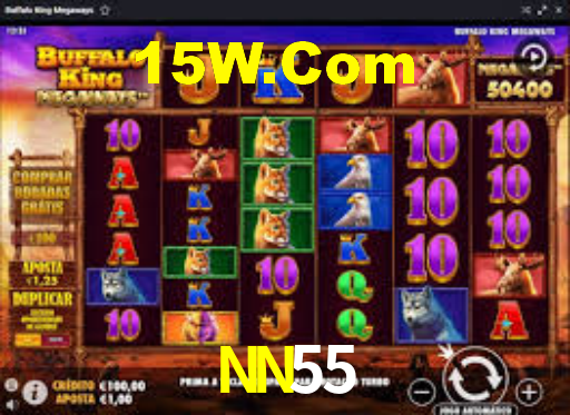 NN55